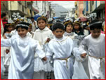 PonteCool.com