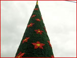 PonteCool.com