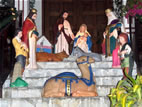 Nacimiento en Ficoa