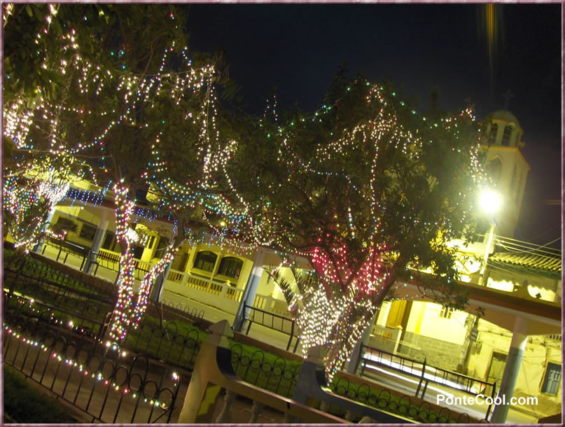 Los árboles de adornan de luces de color