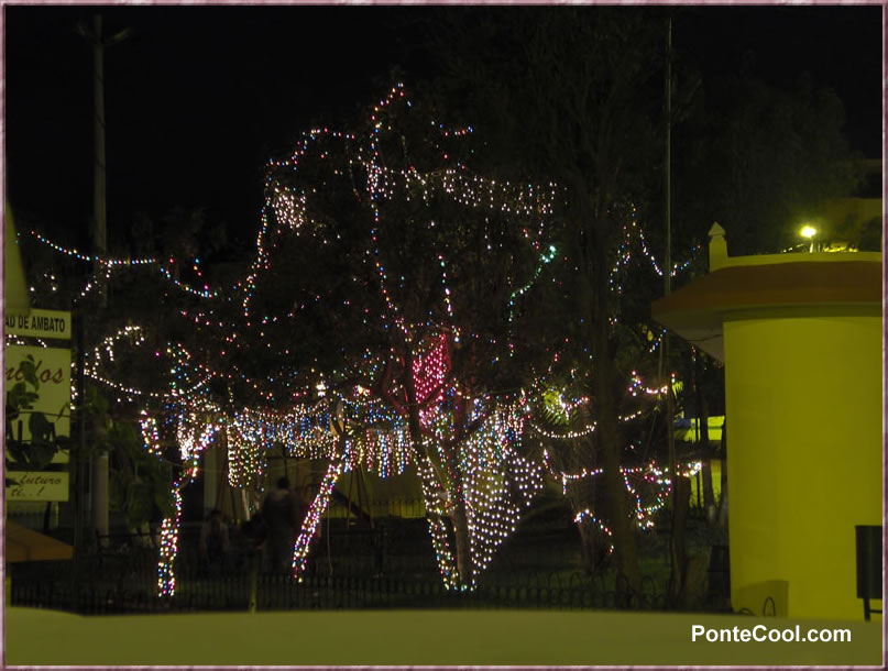 La imaginación de sus habitantes se pone de manifiesto con estos arreglos