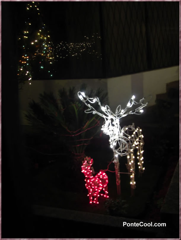 Vemos los símbolos que representan la navidad