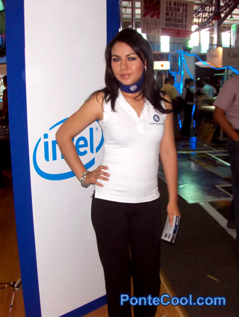 Modelo de la empresa Intel 