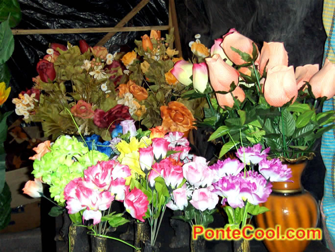 Flores y plantas