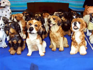 Hermosos perritos de barro