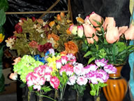 Flores y plantas