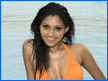 PonteCool.com