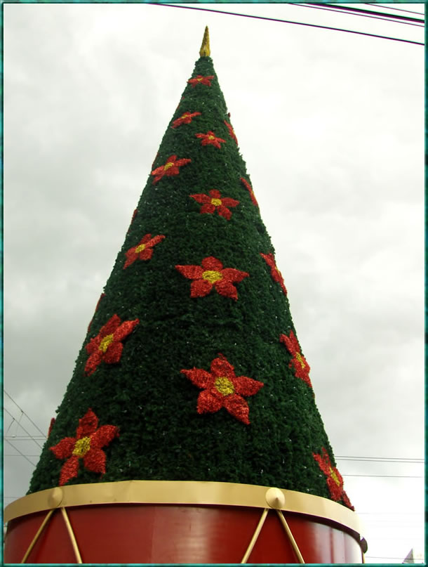 El color verde de la esperanza, el color rojo del amor para todos los Ecuatorianos