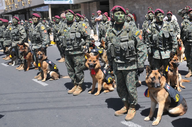 Desfile militar por el Bicentenario 