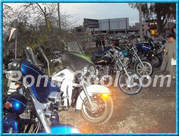 Se&ntilde;oritas Reinas Patronato Municipal y Provincial